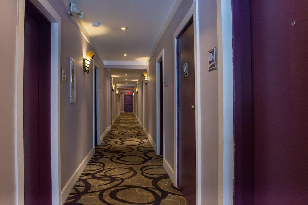 Shelley Hotel Miami Beach Eksteriør bilde